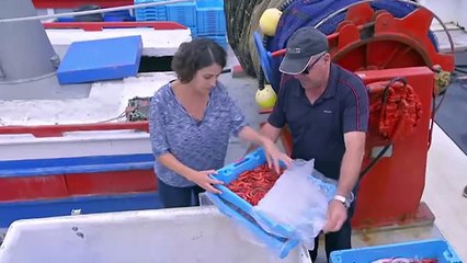 TV3 - Collita pròpia - Peix