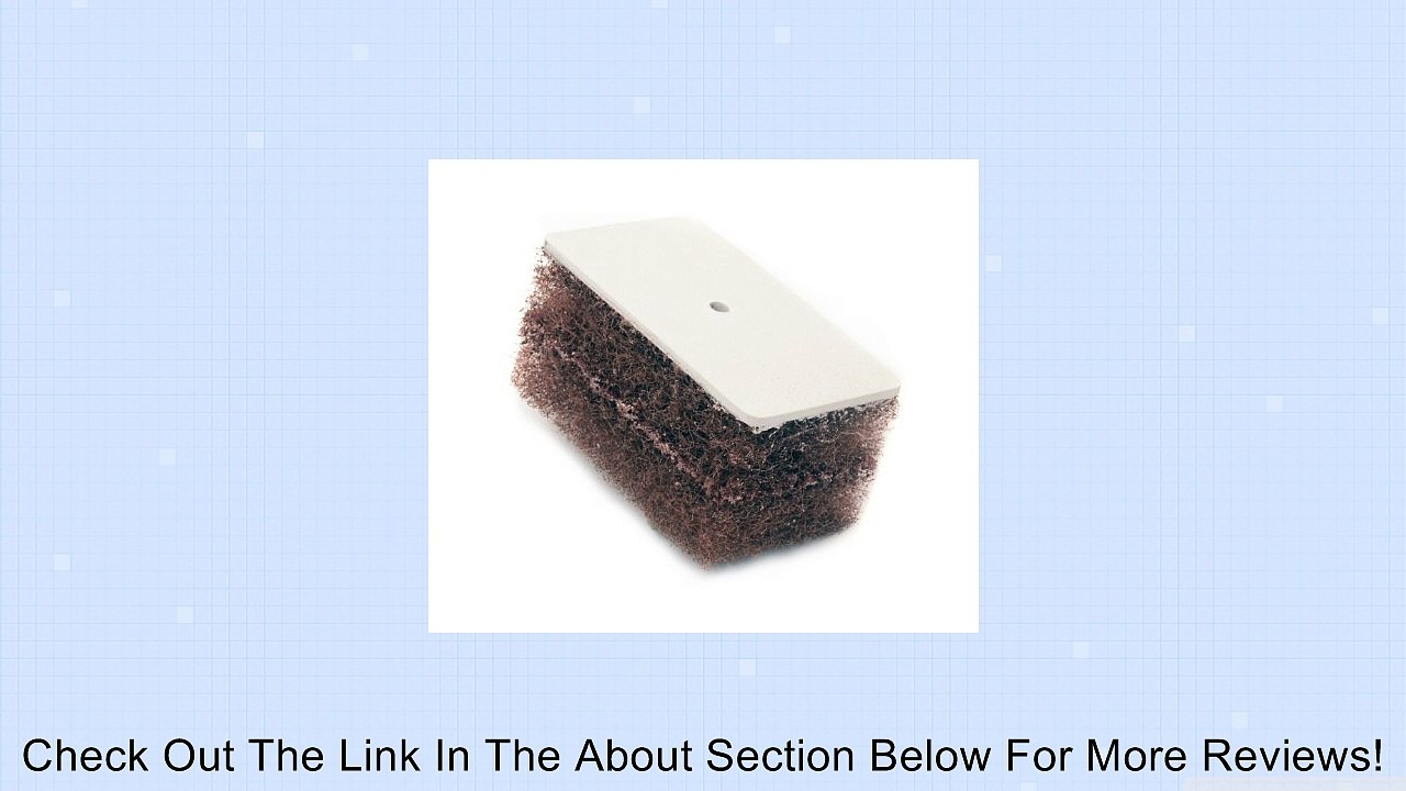 Purity Pool RPC Replacement Pad for Tile Scrubber, Coarse Review