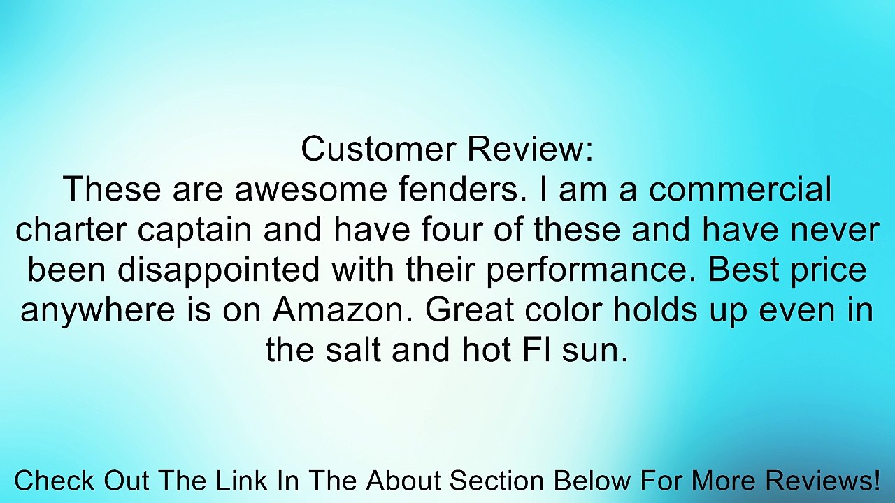 Taylor Made Products SuperGard Inflatable Vinyl Boat Fender (8.5" x 26") Review