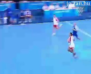 Handball - amazing goal!
