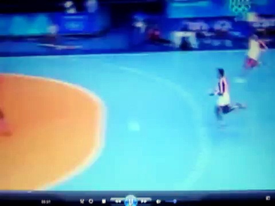 funny handball goal