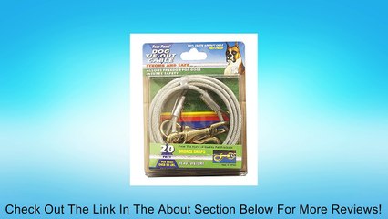 Four Paws Silver Heavy Weight 20 Foot Dog Tie Out Chain Review
