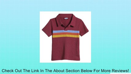 City Threads 3-Stripe Polo Shirt (Infant & Toddler) Review