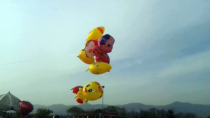 Baloon Flying in the Sky