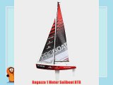 Ragazza 1 Meter Sailboat RTR