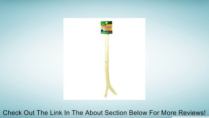 Wild Harvest P-84137 Natural Branch for Cockatiels/Parakeets/Finches Review