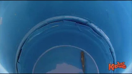 Small Fish Turns Into Gigantic Fish