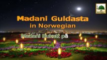 Madani Bukett på Norsk - Hva er obligatorisk for meg? - Maulana Ilyas Qadri