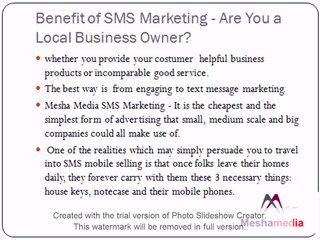SMS Marketing for Business - Mesha Media