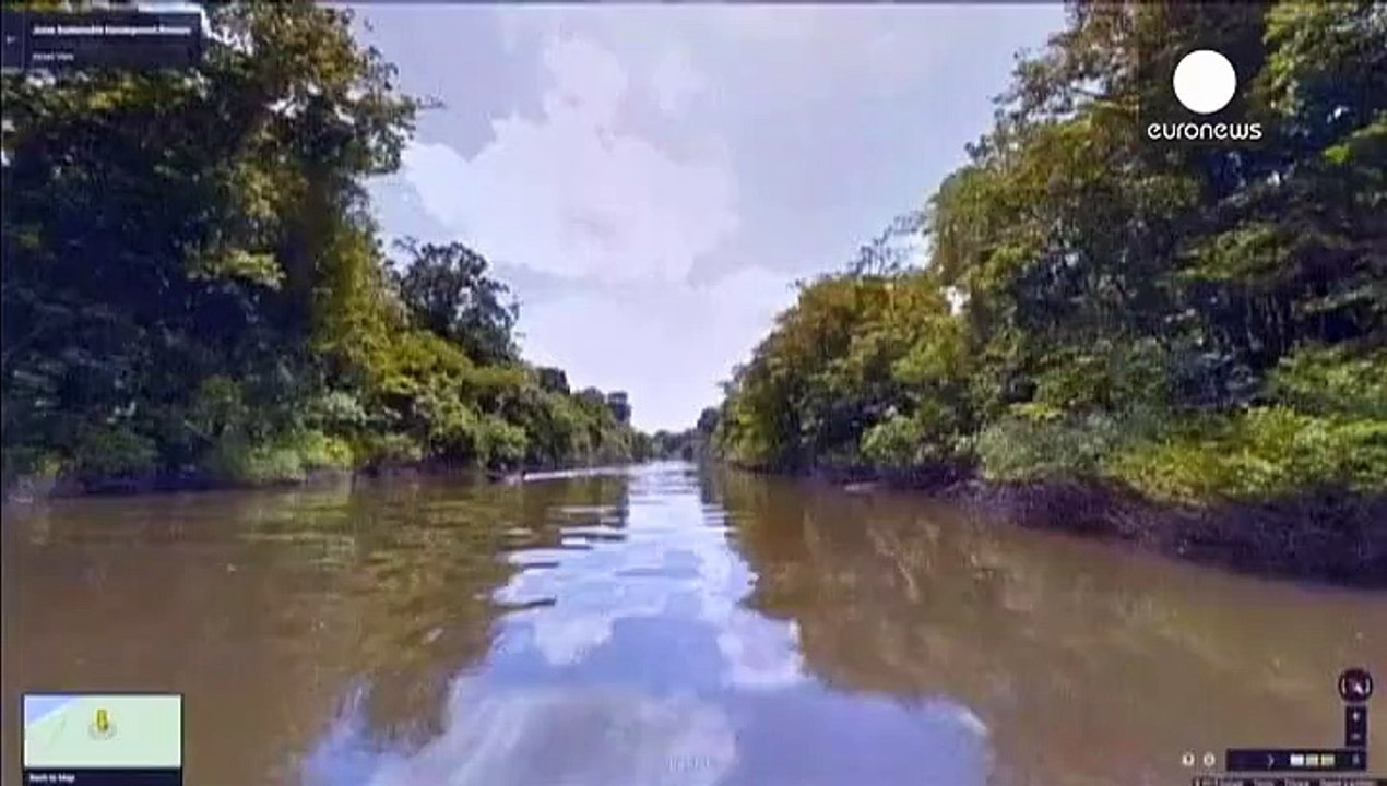 Street View дістався лісів Амазонки