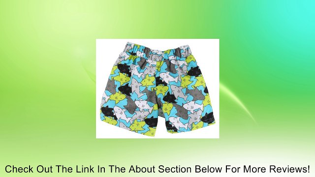 Wippette Little Boys UV Protection Swim and Cover Up Set - Royal (Size 4T) Review