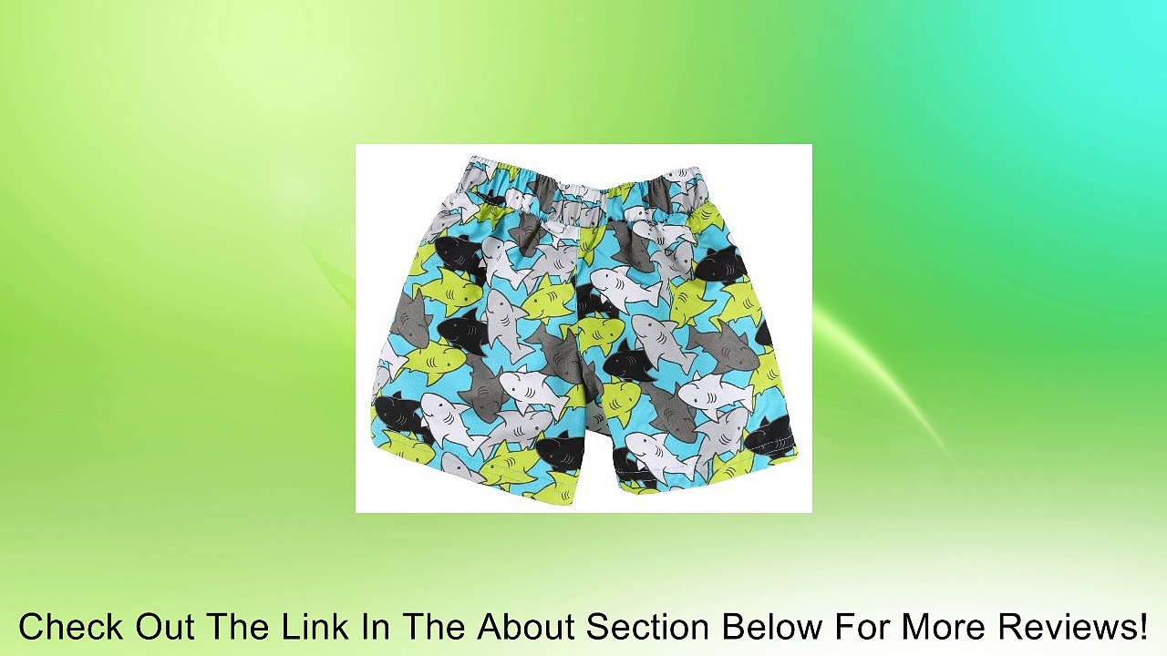 Wippette Little Boys UV Protection Swim and Cover Up Set - Royal (Size 4T) Review