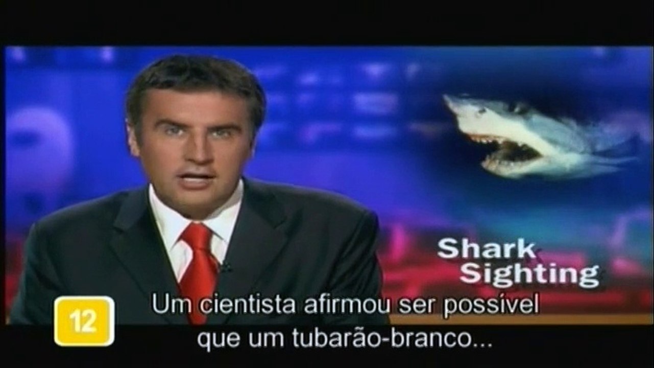Ataques de tubarões. Shark attacks.