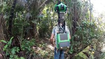 Google sent camera in Amazon : Google Street View through the deep forest