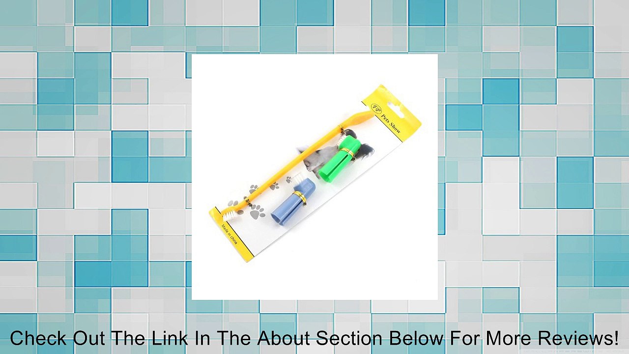 3 pcs Dual End Dog Cat Dental Pet Grooming Hygiene Teeth Care Toothbrush Review