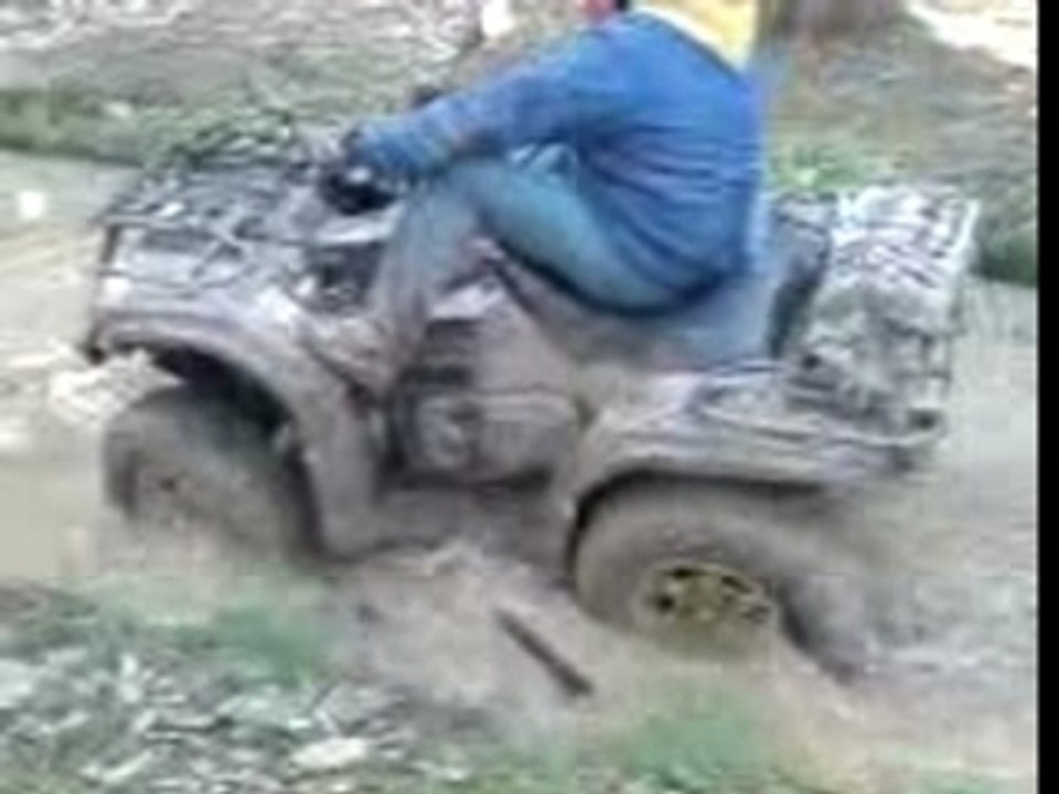 quad