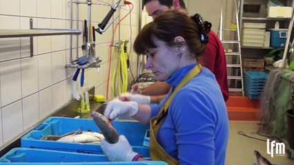 Les poissons du Léman