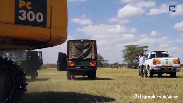 Au Kenya, un éléphant coincé dans une marre de boue, sauvé par des fermiers locaux