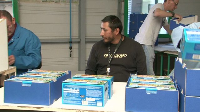 Un boulot presque parfait