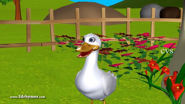 Five Little Ducks went out one day - 3D Animation English Nursery Rhymes for Children