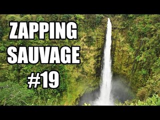 Ils escaladent une cascade de 30m avec la bouche - ZS n°19