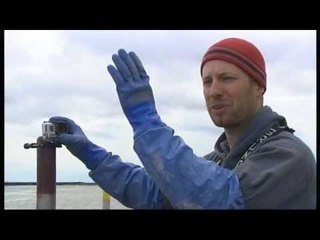 Jackpot en Alaska (extrait) - Thalassa