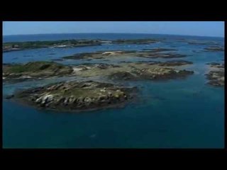 Les pinces du Contentin (extrait) Thalassa