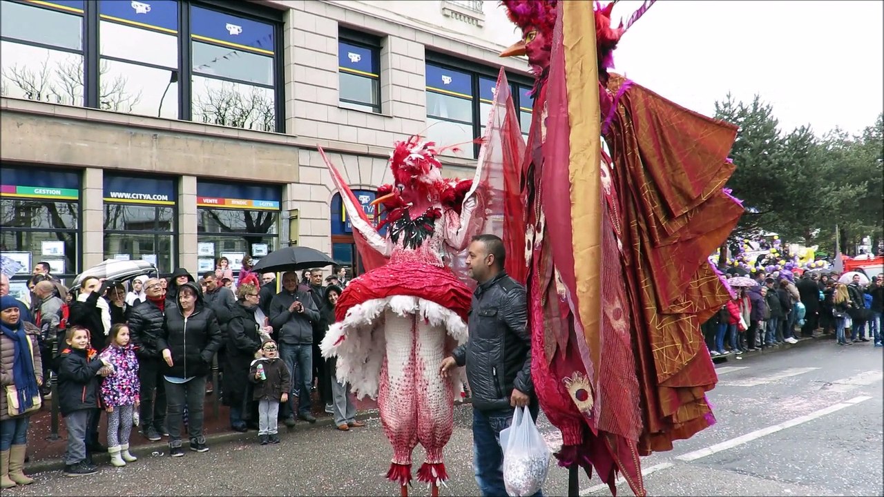 chars du carnaval 2015 (1)