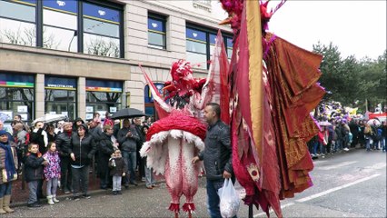 chars du carnaval 2015 (1)