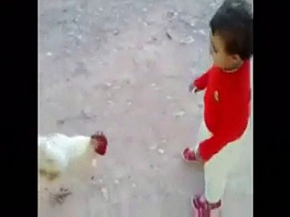 baby n hen convo