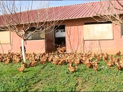 IN STYLE Φάρμα Χρήστου Ανδρούτσου, Αφοί Βραϊμάκη