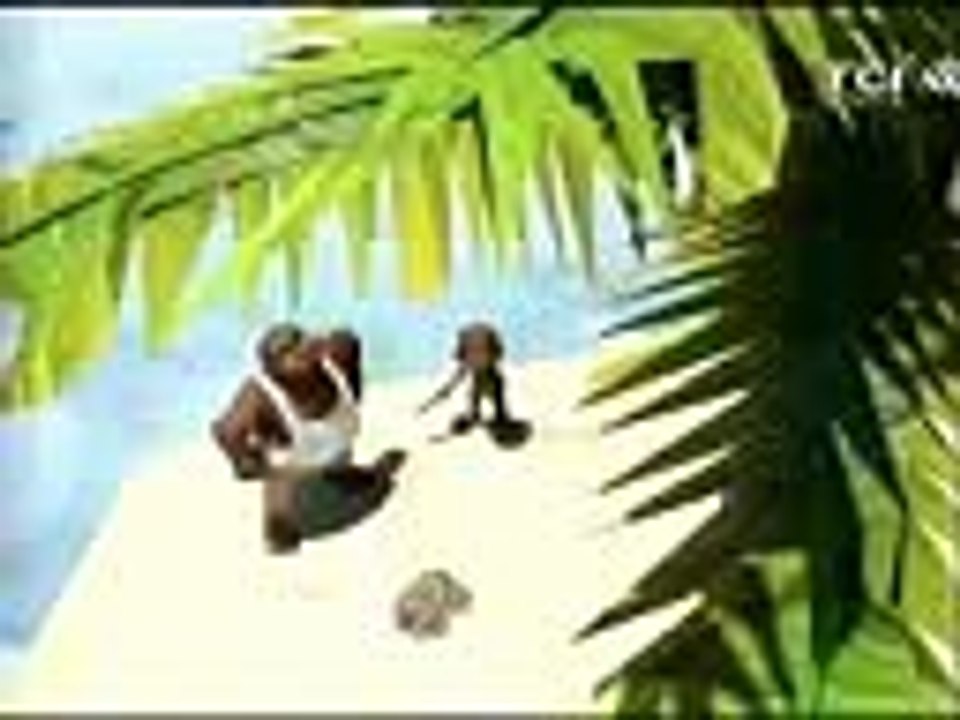 La comedit de TCI =cocotier