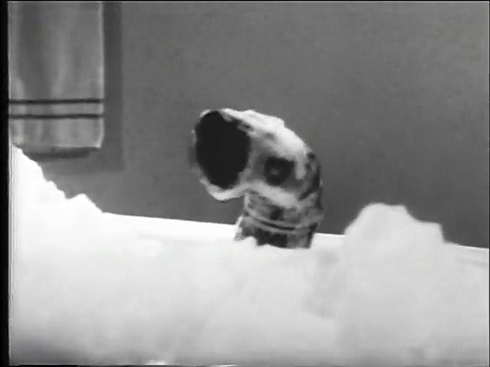 Edgar Bergen & Charlie McCarthy special from 1950
