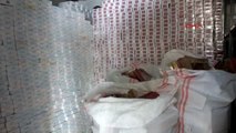 Şanlıurfa Harran'da Kamyon Kasasında 54 Bin Paket Kaçak Sigara