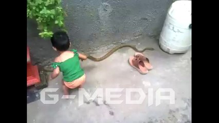 OMG! Shocking Video Kid Playing With Snake - Latest Hot News