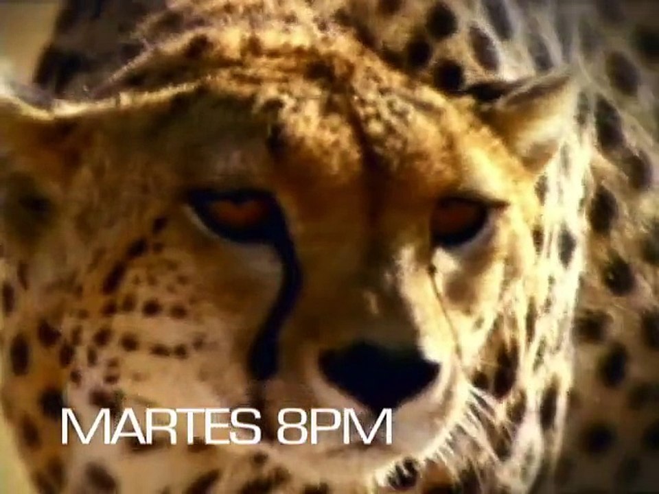Documental - Martes 03/03