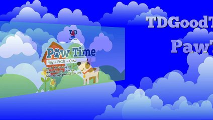 Dog Collar and Leash Set Coming Soon to Amazon !