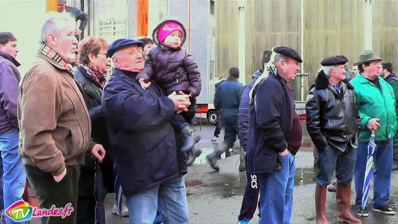 Les Blondes D’Aquitaine montent à Paris