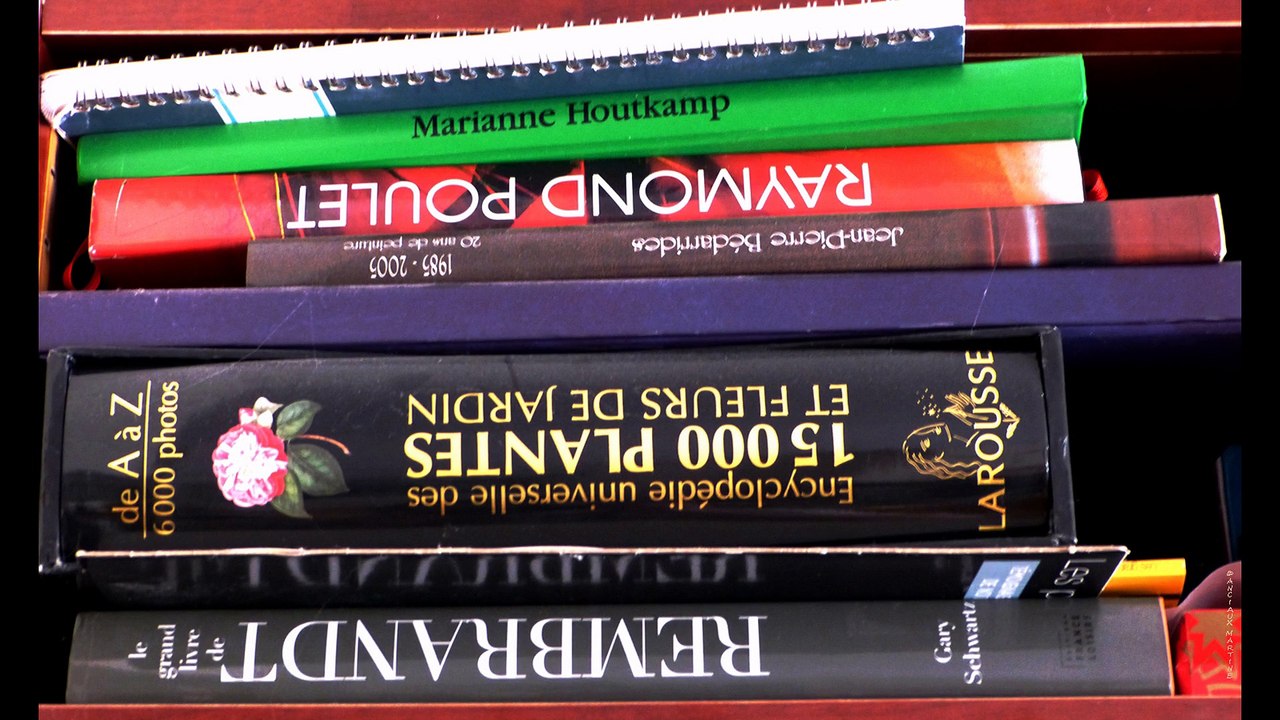 ©Le Livre poème THOMAS André photos&photos-peintures Martine ANCIAUX  Monde Tv©