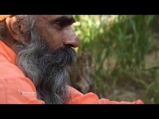 Bishnois, la nature à tout prix (extrait)