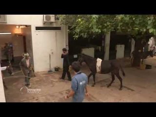 Fès, à dos d'âne - Faut Pas Rêver au Maroc (extrait)