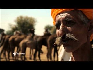 En route pour la foire (extrait) - Vendredi 27 février 2015