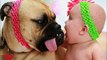 Cute Babies Sleeping with Dog-Baby and Dog Friendship!