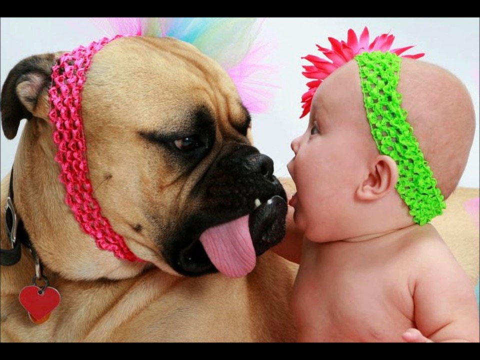 Cute Babies Sleeping with Dog-Baby and Dog Friendship!