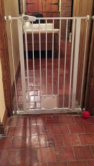 Köpekten Prison Break'e Şapka Çıkarttıran Kaçış