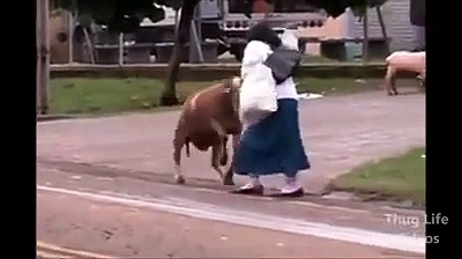 ⁣Pet Animals Rock - Funny pet animals - Funny Video