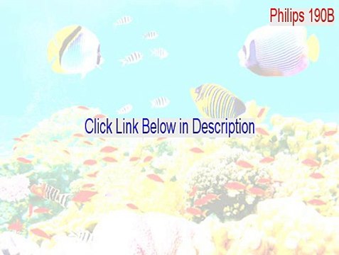 Philips 190B (19inch LCD MONITOR 190B5) Serial [philips 190b driver 2015]