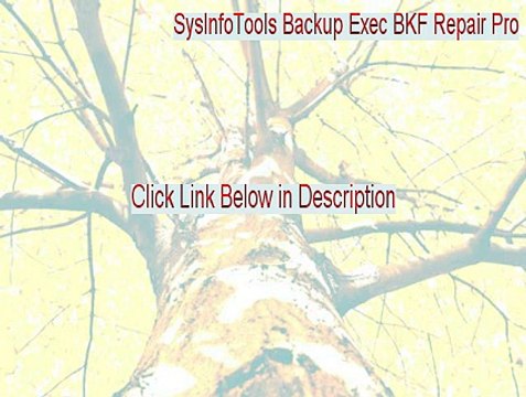 SysInfoTools Backup Exec BKF Repair Pro Key Gen - SysInfoTools Backup Exec BKF Repair Prosysinfotools backup exec bkf repair pro [2015]
