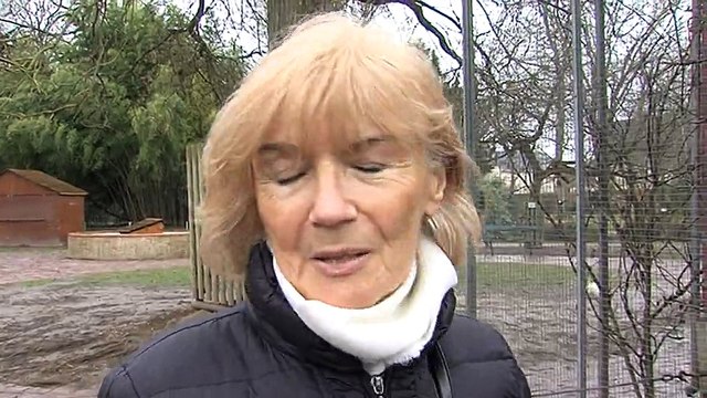 Visite au jardin botanique de Tours