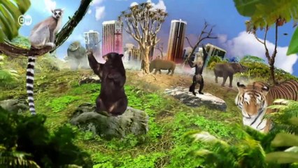 Cambodia: Fighting the Animal Trade | Global 3000